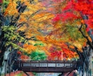 初回｜複雑恋。あの人の本心とご縁の行方を鑑定します 否定しません。誰にも言えない事情、すべて預けてください。 イメージ2