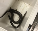 天然うなぎの釣り方教えます 天然うなぎを釣ってみませんか？ イメージ2