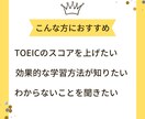 1週間サポート付＿あなたのTOEICを分析します TOEICのプロがあなたのスコアアップをお手伝いします！ イメージ5