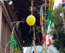 七夕に因み願い事を叶えます たった一つの願いに近づけます。 イメージ2