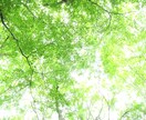 お好きな風景や素材を撮影します ・プレゼント用・装飾用・ブログなどの記事用・その他リクエスト イメージ8