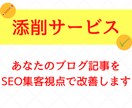 完全添削！あなたのブログ３記事を徹底改善します 添削結果はコピペOK！SEO集客のプロが隅々まで目を通します イメージ1