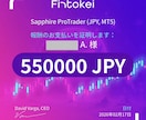 完全審査制／私が専業になれた方法教えます fintokeiは2週間でクリア。理論や手法とか必要なし。 イメージ3