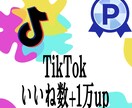 TikTokいいね数が1万以上増やします TikTokいいね数の他にTikTok再生やセーブ御座います イメージ1