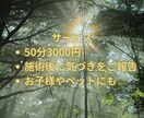 聖地・玉置神社の神域より遠隔靈氣を届けます 現代霊気と独自ワークによる遠隔ヒーリングを提供します。 イメージ3