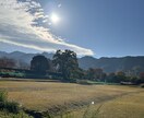 接客・販売員のための相談、疲れた心に寄り添います 顧客や従業員の相談、悩み、全てここで吐き出して下さい イメージ3