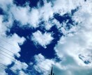 お子様の幸せな進路を一緒に考えます 自由な道を歩んできたからこそ、できるアドバイスを提供 イメージ1