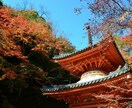 スタンダード｜ロケーション分析します 写真・動画・地図・断片的な情報から場所の分析します。 イメージ1