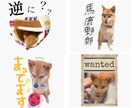 LINEスタンプ作ります お子さんや、愛犬などのLINEスタンプをお作りします！ イメージ3