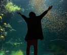 年関係なくおしゃべり付き合います 聞いてほしい!!なんでもOK!!口下手歓迎!! イメージ1