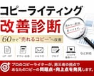 プロがコピーライティングの改善診断をします たったの６０分で、”売れるコピー”に変身させます！ イメージ1
