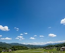 長文⭕️日記・悩み2000字でじっくりお返事します 文字数制限なし❀24時間何通でも❀日記❀記録❀悩み❀作品 イメージ6