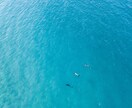 本当に望んでいる目標を設定し、やる気を引き出します コーチング嫌いにも効果的なコーチングを提供します イメージ1