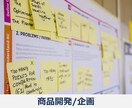 月額 ECビジネス拡大目指して親身にコンサルします スタートしたばかり、伸び悩んでる店舗を本気でサポートします！ イメージ3