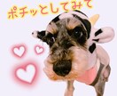 別にアドバイスはいらない。気の済むまで話を聴きます そんな時はポチッと♪お待ちしてます。 イメージ2