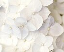 ご縁のタイミングで1日おひとり様限定。お話聞きます 今のお気持ちは？あなたの専属セラピー⭐️ イメージ1