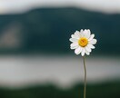 看護師が恋愛の悩みをお聞きします ◆恋愛相談◆浮気など難しい恋愛も◆ボイスサンプルあり イメージ6