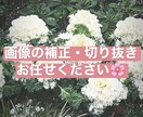 お得に！画像の切り抜き・色彩補正等承ります 切り抜きのみ…15枚まで追加料金なしです☆ イメージ1