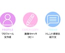 10代学生の視点！SNSのプロフ紹介文を作成します パッと目が止まる！好印象の文章やキャッチコピーを考えます。 イメージ2