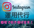 Instagramの運用代行をします 特別価格でお引き受け致します！！ イメージ1