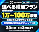 X【月額プラン30日間】インプレッション増加します 1万回増加★Twitterツイート回数無制限★毎日可★ イメージ7