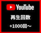 YouTube再生回数+1000～増やします 【安心安全の30日間保証付き】【振り分け可能】 イメージ1
