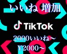 Tiktok動画のいいね数増やします 多国籍のフォロワーに宣伝致します！ イメージ1