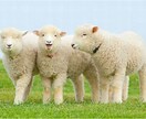 あなたのお悩みを第三者の視点から解決します 自分だけではどうにもならないお悩み愚痴を話してみては？ イメージ1
