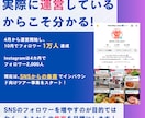 フォロワー4万人!実績のSNS運用で集客を叶えます SNSコンサル フォロワー実績4万人!インバウンド集客に強い イメージ2
