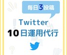 10日間Twitter運用を代行いたします SNS運用のプロが全て手作業でターゲットへのアクションを実施 イメージ1