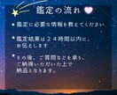 遠距離恋愛の悩みを引き寄せタロットで解決します 彼の本当の気持ち・浮気が心配・連絡や会う回数が減って不安 イメージ2