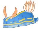 海洋生物デジタルアート描きます 潜水士の資格から、海の魅力と愛情をこめたアートを提供します イメージ3