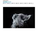 限定！HTML・CSSのコーディング代行いたします HTML・CSSコーディング！格安・追加オプション多数用意！ イメージ7