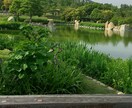 看護師の就職先志望動機書きます 文章を書くことが得意な看護師が就職の際の志望動機を書きます イメージ1