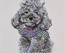 暮らしに飾れるオイルパステル原画を制作します 大切なうちの子を、やさしいタッチの原画で残します。 イメージ3