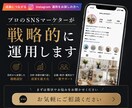 戦略的インスタ運用｜現役プロマーケターが支援します 実績40社以上｜成果に結びつく戦略的な運用をご提案いたします イメージ1