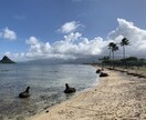 アメリカ人との恋愛、結婚の相談にお答えします 恋愛、結婚、移住、留学、旅行等、なんでもご相談ください。 イメージ6