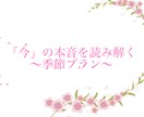今この季節のお相手様の本音、占います 別次元のお相手様の本音を読み解く季節プラン イメージ1