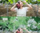 写真を柔らかく透明感のある雰囲気にレタッチします 空気感が伝わるような、思い出の一枚へ イメージ7