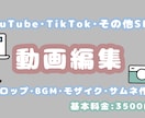 YouTube・その他SNS用の動画編集します 動画編集にかける時間有効活用しませんか？ イメージ1