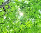 失恋・復縁のお気持ちを伺い、希望の方向へ導きます さぞお辛かったでしょう。ゆっくり吐き出してください。 イメージ1