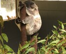 頭かします 悩みごとに対し、私の持てる力を総動員して回答します。 イメージ1