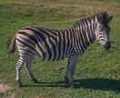 15カ国旅した世界中の写真提供します 他の国もたくさんあるので是非お声掛けください。 イメージ2