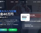 東京都奨励金申請用カスハラ対策マニュアル作成します 奨励金40万円対応の申請用カスハラ対策マニュアルになります イメージ2