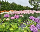 チャット形式で、あなたの悩み聞きます 今までの人生経験を活かして、人の心の支えになりたい イメージ1