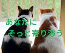愚痴、不満、不安、あなたに寄り添ってお話聞きます お試しOK!愚痴、不安、不満、寂しさ話してみませんか？ イメージ5