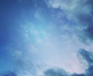 自然を感じられる写真を撮ります 幸せが広がる、笑顔があふれる気持ちになりますように イメージ8