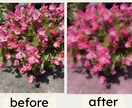 スマホ写真をSNS映えするアートに仕上げます 光と色を引き出すレタッチで、写真を作品に変えます。 イメージ6
