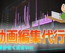 動画編集承ります 撮影に集中したい方オススメ！/長期のご依頼も大歓迎です！ イメージ4