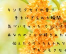 現役シンガーソングライターが作詞します ココロに語りかける詞から明るくポップな詞まで幅広く対応 イメージ2
